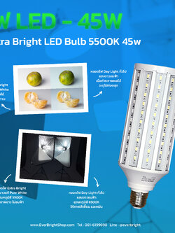 Extra Bright LED Bulb 5500K 45w