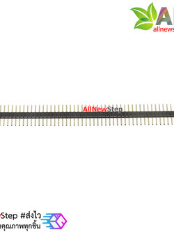 ก้างปลา ระยะขา 1.27mm 1x50 ขา สีดำ