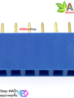 Pin header Female Header Single Row 2.54mm 6p Pin1x6 สีน้ำเงิน