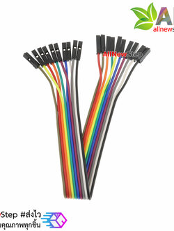 สายไฟ จัมเปอร์ เมีย-เมีย Jumper Wire สายแพ ยาว 20cm จำนวน 10 เส้น