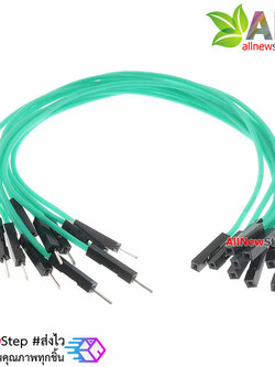 สายไฟจัมเปอร์ 20cm สาย jumper 20 cm จำนวน 10 เส้น ผู้-เมีย สีเขียว