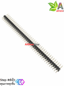 ก้างปลา 2.0mm ขนาด 2x40ขา Pitch 2.0MM 40P pin header