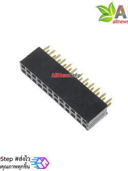 Double row female socket female socket 2.54mm 2x12