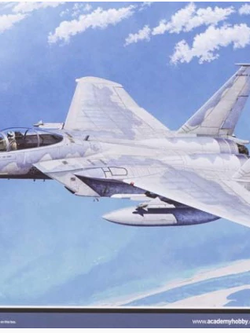 1/72 F-15C MSIP II "173rd Fighter Wing"