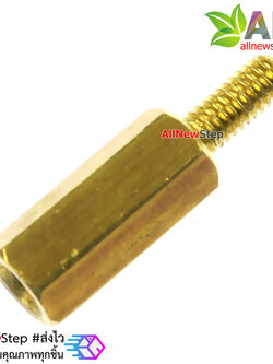 น็อต M2.5 ขนาด 11+6mm
