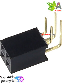 ขาก้างปลาตัวเมียแบบฉาก 2x2 ขา Double Row Hole Jack 2x2 PIN Header 2.54mm
