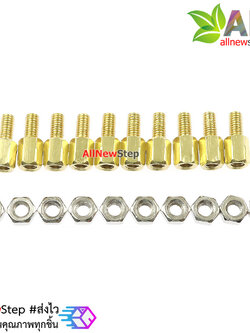 น็อตทองเหลืองตัวผู้และตัวเมีย 3mm 6+6mm Pillars Nut M3 m3 6+6 จำนวน 10 คู่