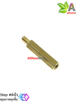 น็อตทองเหลือง NUT M2 ขนาด 12+3mm