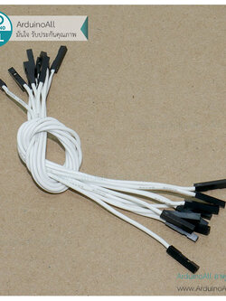สายไฟจัมเปอร์ 20cm สาย jumper 20 cm จำนวน 10 เส้น เมีย-เมีย สีขาว
