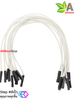 สายไฟจัมเปอร์ 20cm สาย jumper 20 cm สีขาว เมีย-เมีย จำนวน 10 เส้น