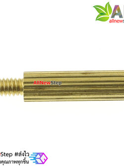 น็อตทองเหลือง NUT M2 ขนาด 11+3mm