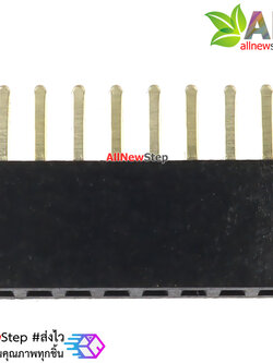 1x8p 1.27mm หัวต่อขนาด 1x8 ขา ระยะห่างขา 1.27mm pin header 1.27mm pitch single row pin inline pin