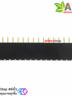 1X16 Pin 16P Single Row Female Header 2.54mm pitch straight จำนวน 1 ชิ้น