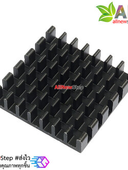 แผ่นระบายความร้อน สีดำ 25x25mm