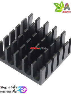 แผ่นระบายความร้อน สีดำ 22x22mm