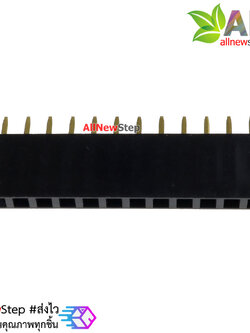 Pin header Single row 12p female 1x12P spacing 2.54mm จำนวน 1 ชิ้น