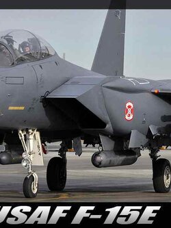 1/48 USAF F-15E "Seymour Johnson"