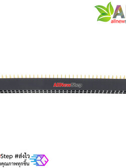 Double Row Hole Jack 2x40 PIN Header 2.54MM