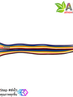 สายไฟ จัมเปอร์ PH2.0MM pitch terminal line สายแพ ระยะห่าง 2.0mm 14 เส้น