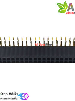 ขาก้างปลาตัวเมียแบบฉาก 2x20 ขา Double Row Hole Jack 2x20 PIN Header 2.54mm
