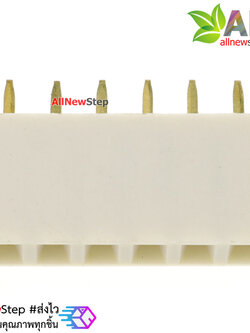 Pin header Female Header Single Row 2.54mm 6p Pin1x6 สีขาว