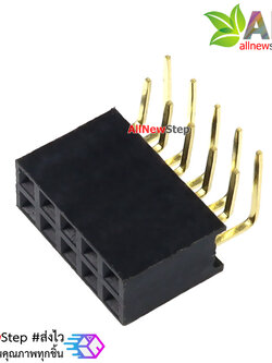 ขาก้างปลาตัวเมียแบบฉาก 2x5 ขา Double Row Hole Jack 2x5 PIN Header 2.54mm