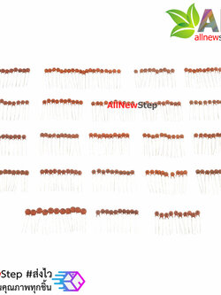 ตัวเก็บประจุแบบเซรามิกค่า 6pf-0.1uf รวม 22 ค่า อย่างละ 10 ชิ้น Ceramic capacitor package 6pf-0.1uf total of 23 kinds