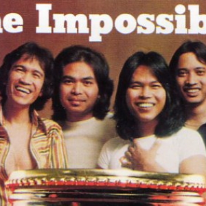 ดิอิมพอสซิเบิล The Impossibles