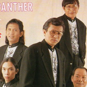 พิงค์แพนเตอร์