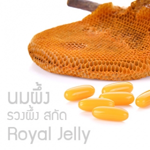 นมผึ้ง สกัด Royal Jelly