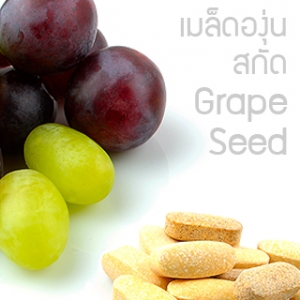 เมล็ดองุ่น สกัด Grape Seed