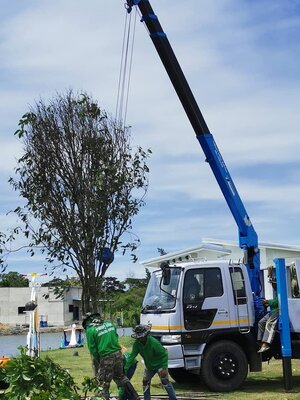 รวบรวมภาพ งานส่ง ปลูกไม้ บางปู สมุทรปราการ