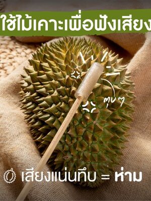 วิธีปอกทุเรียน และการเคาะทุเรียนก่อนปอกครับ
