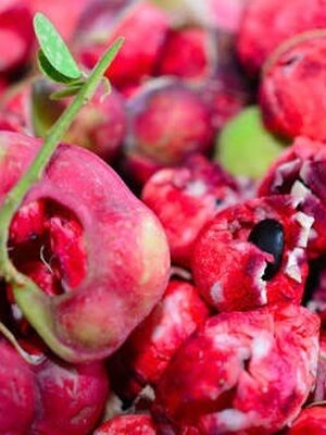 มะขามเทศเกษตร พันธุ์ฝักสีชมพูจะให้ผลผลิตที่มีสีสวยมาก และมีรสชาติดี รสชาติหวาน มัน อร่อย