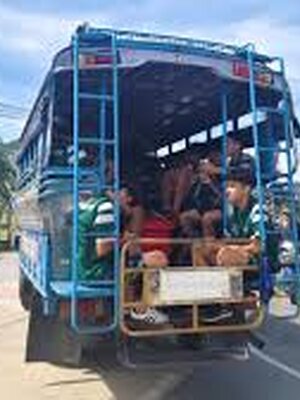 หมอนทองวิทยา