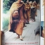 นิตยสารโลกทิพย์ ฉบับพิเศษ ฉบับพระอาจรย์ยันตระ อมโร ภิกขุ