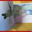 หนังสือ ชีววิทยาและการอนุรักษ์ เต่าทะเล SEA TURTLE (ฉบับภาษาอังกฤษ)
