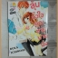 ลุ้นหัวใจคุณชายมาดนิ่ง โดยRUKA ICHINOSE เล่มเดียวจบ บงกช สภาพดีเยี่ยม