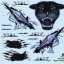 1/48 TORNADO IDS BLACK PANTHERS