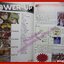 นิตยสารคู่มือเกมส์ POWER-UP พาวเวอร์อัพ เล่มที่16 ปี2551