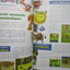 นิตยสารเกมส์MEGA ปี2002 ฉบับที่09 GRANDIA X TREME