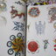นิตยสารลายสัก TATTOO, COLOUR TATTOO ฉบับที่17 ปี25** (หนังสือบ้าน มือสอง) (สภาพ85-95%)
