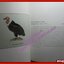 (ฉบับภาษาอังกฤษ) หนังสือภาพสี พืชและสัตว์ที่ใกล้จะสูญพันธุ์ในประเทศไทย โดย สถาบันวิจัยวิทยาศาสตร์และเทคโนโลยีแห่งประเทศไทย (มือสอง) (สภาพ85-95%)