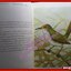 หนังสือ นกสามถิ่น นกสวน นกท้องนา นกป่าดง โดย บุญส่ง เลขะกุล (มือสอง) (สภาพ85-95%) มุมหนังสือด้านบนมีรอยขาดหน่อย