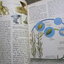 The Seashore Naturalists' Handbook By Leslie Jackman (Hardcover) / HAMLYN
