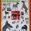 นิตยสารสารคดี ฉบับที่214 ปี2545 ฉบับ หมาสมัยใหม่ MODERN DOG