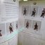 หนังสือ แม่ไม้มวยไทย หลักสูตรมวย 9 ขั้น MUAYTHAI 9 LEVELS