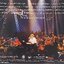 Used CD,Rod Stewart - Unplugged And Seated (C)(1993)(Japan)