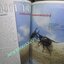 นิตยสารสารคดี ฉบับที่194 เมษายน 2544 เฟิน,ชนกว่าง,สำรับแขกคลองบางหลวง