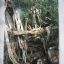SENSE PHOTO ALBUM SPECIAL